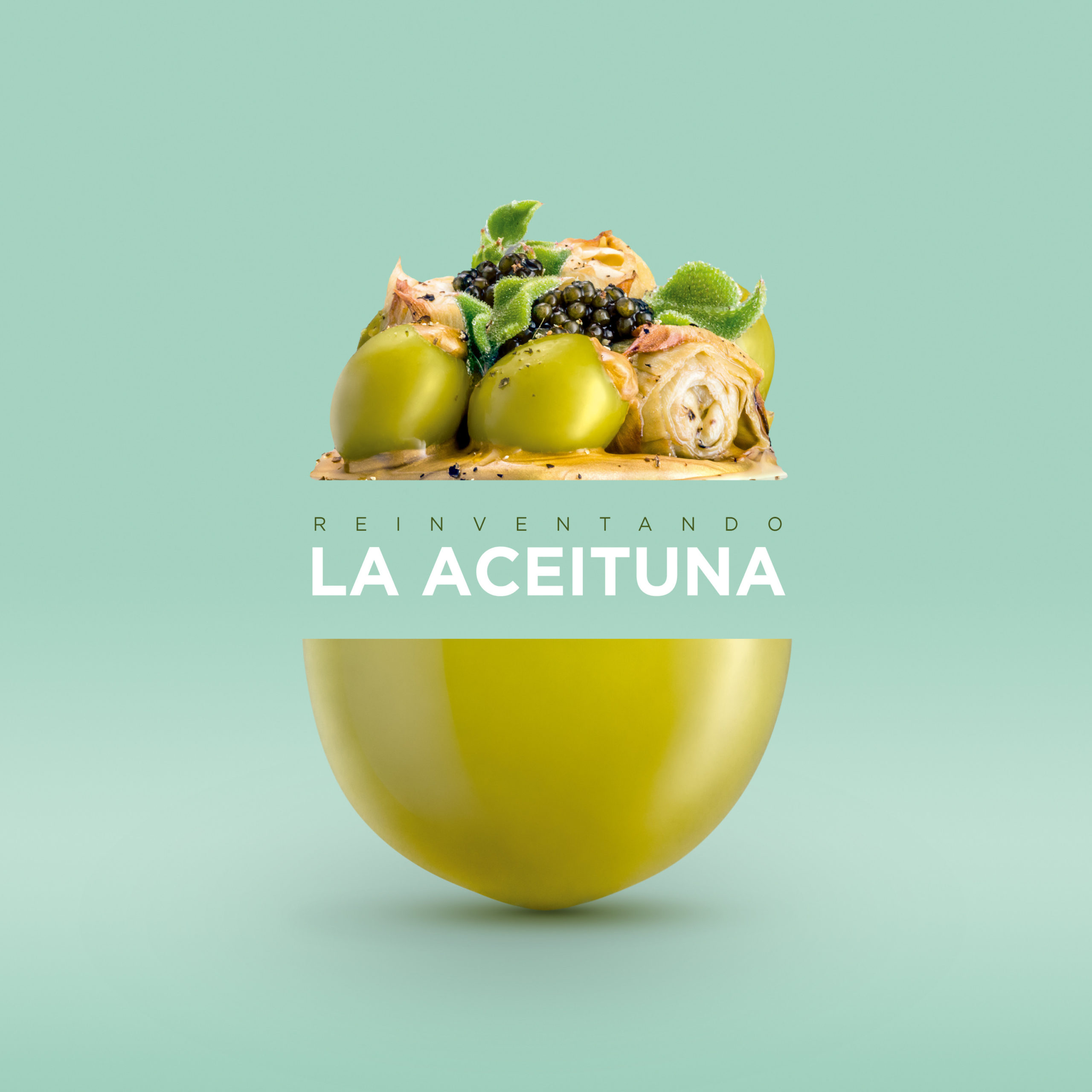 Nueva campaña nacional de Aceitunas de España