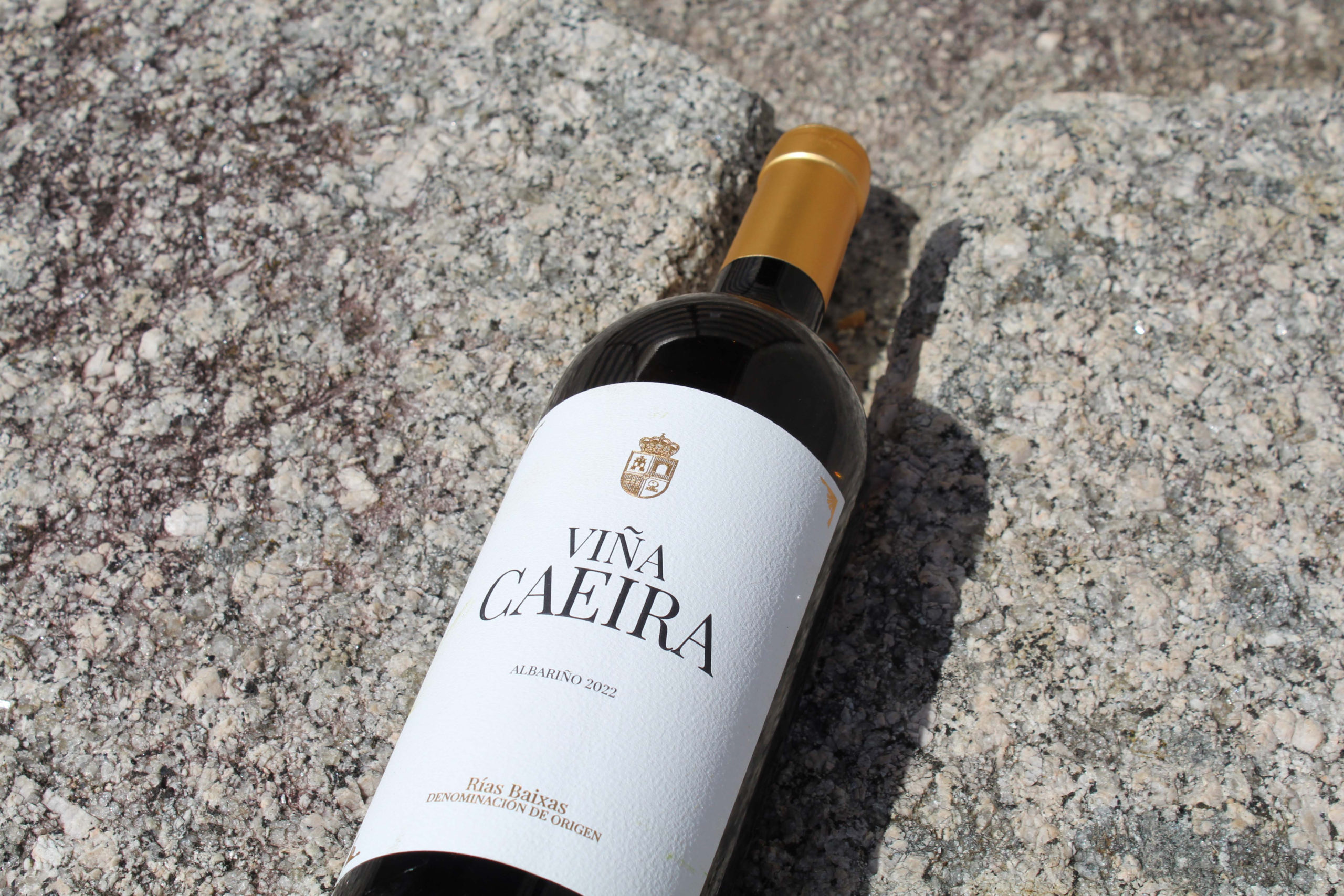 Carlos Moro presenta el primer vino de su bodega en la D.O. Rías Baixas, Viña Caeira