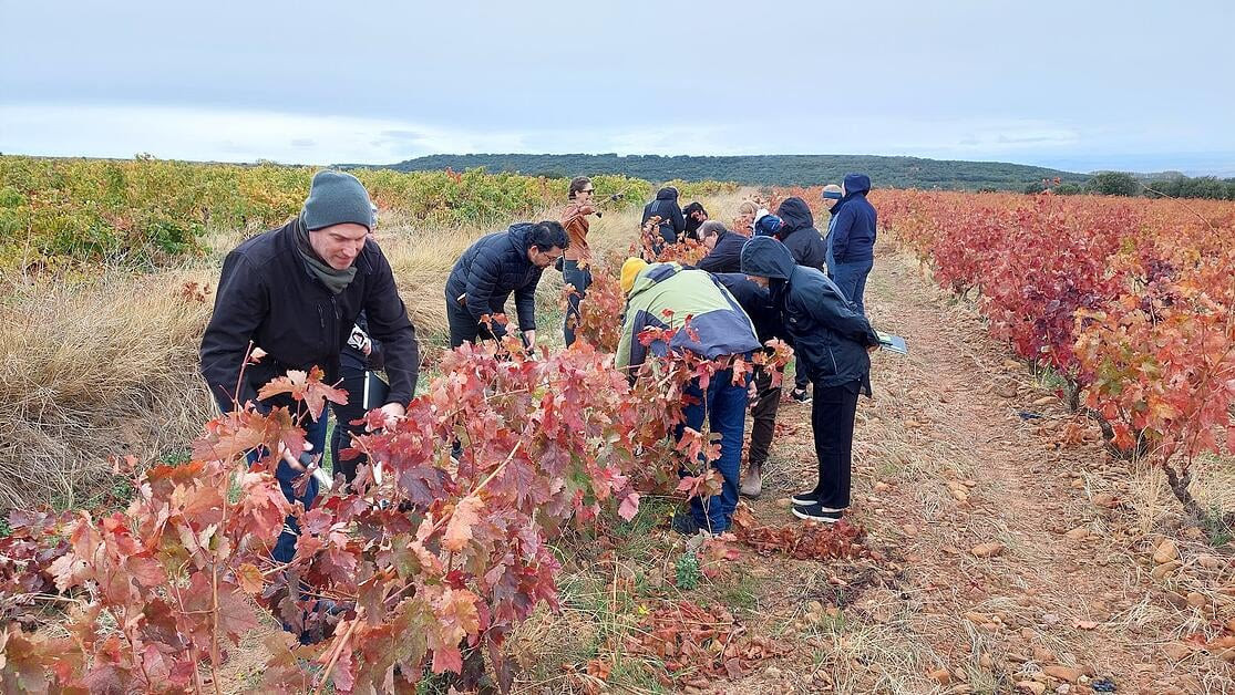 Abierta la inscripción para el programa internacional “Formador Oficial en Vinos de Rioja 2023”