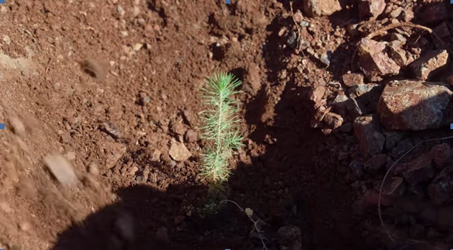 Fuerte Group Hotels hace balance de sus proyectos de RSC al cierre de 2025